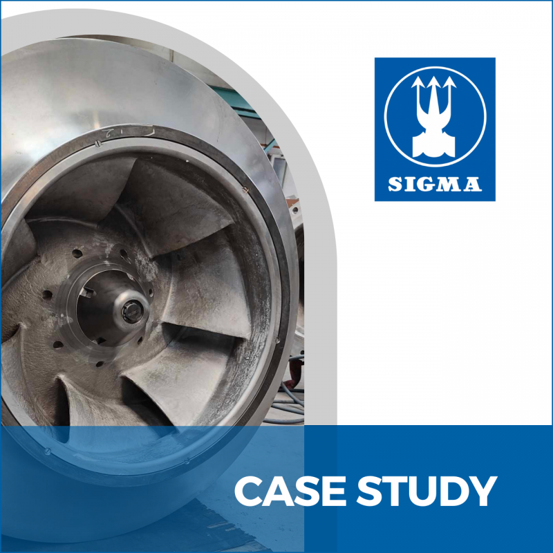 Case study - acceptance testing of industrial pumps for Sigma